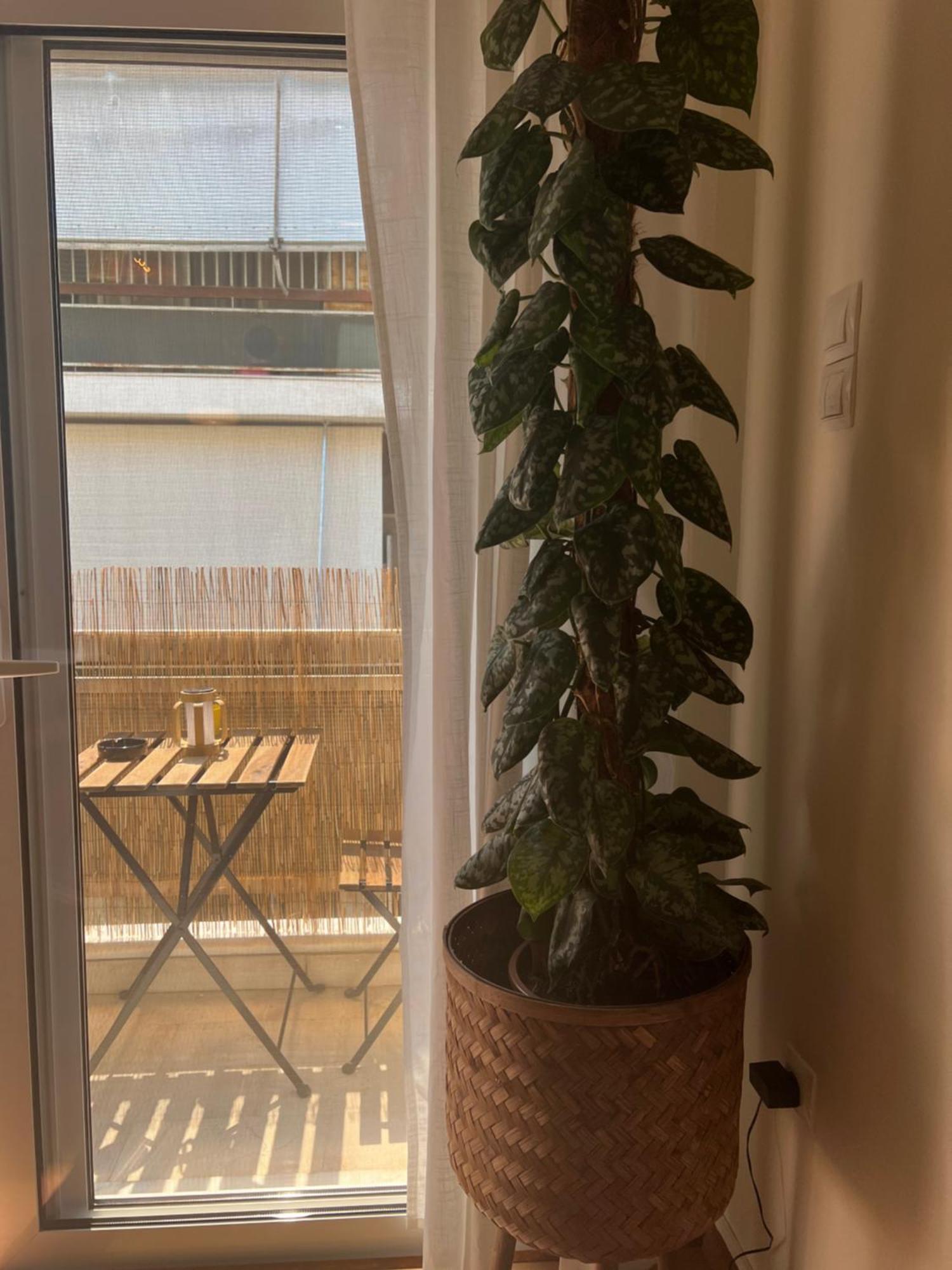 Bright Athens Studio Екстер'єр фото