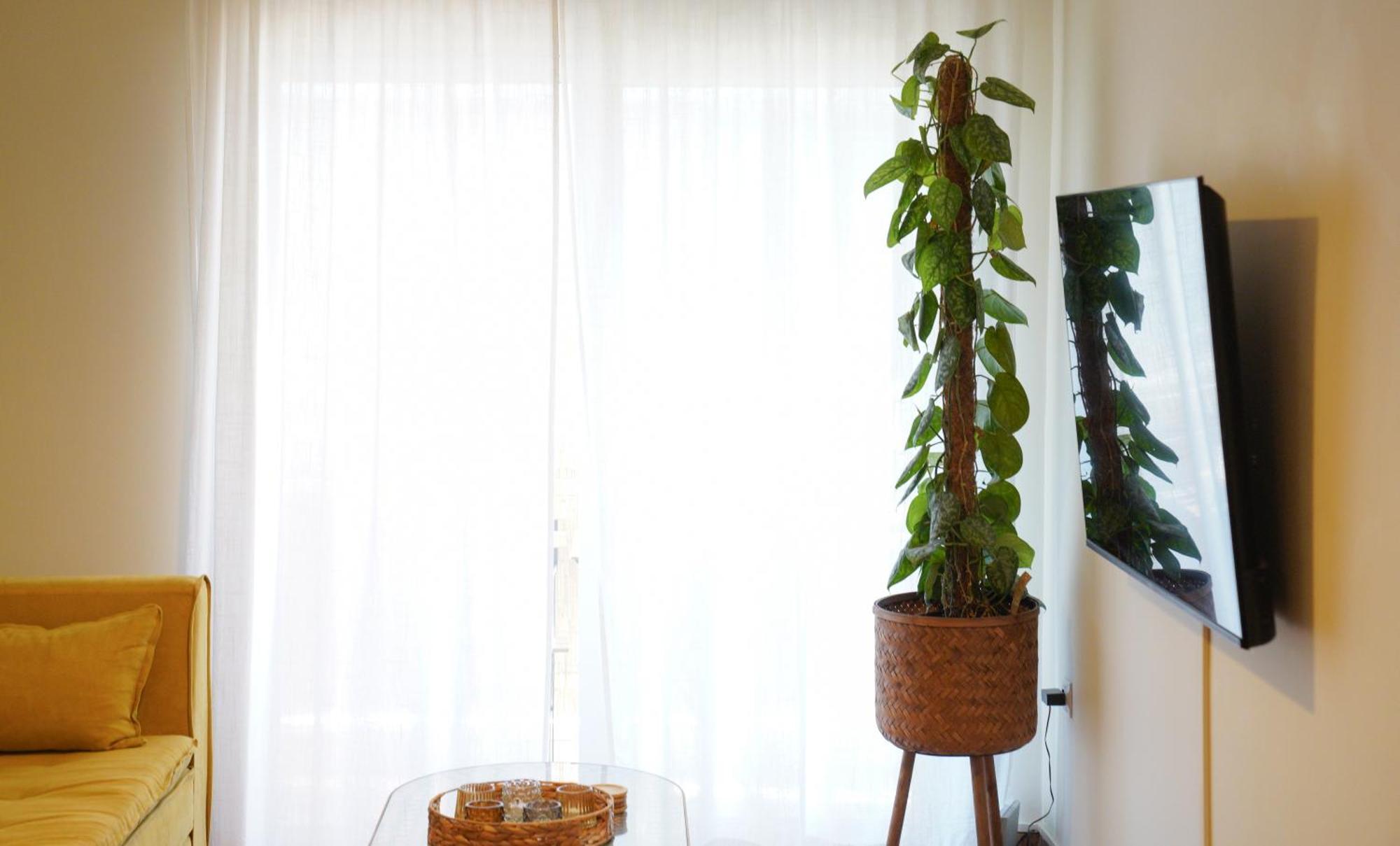 Bright Athens Studio Екстер'єр фото